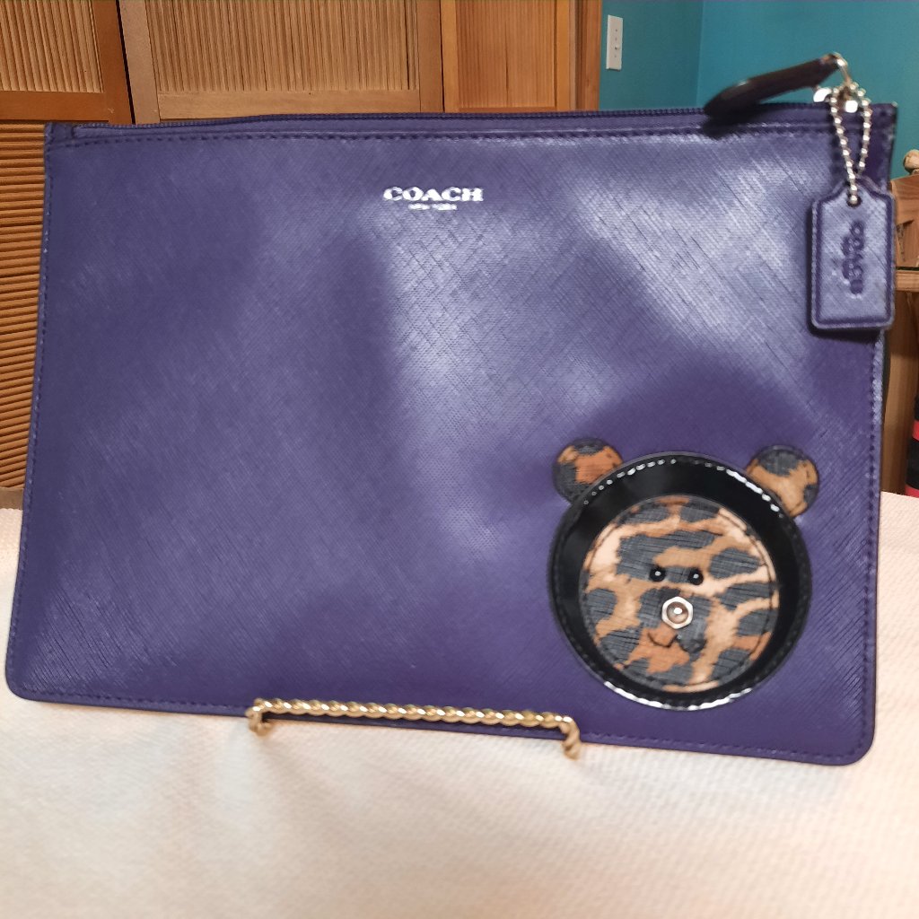 Coach Zip Case